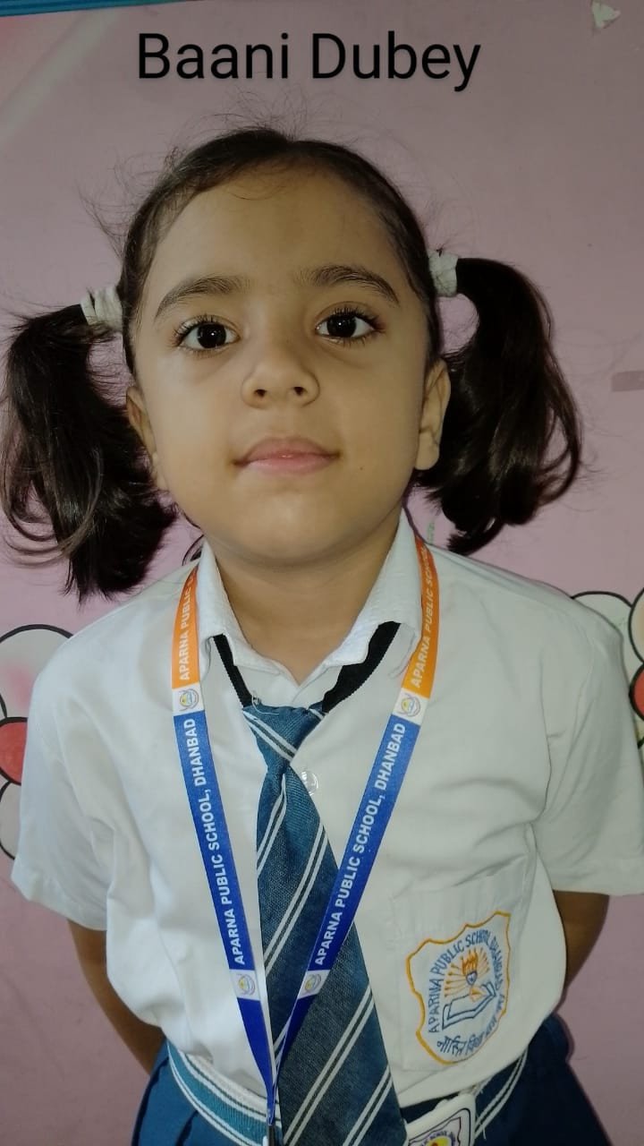 Baani Dubey